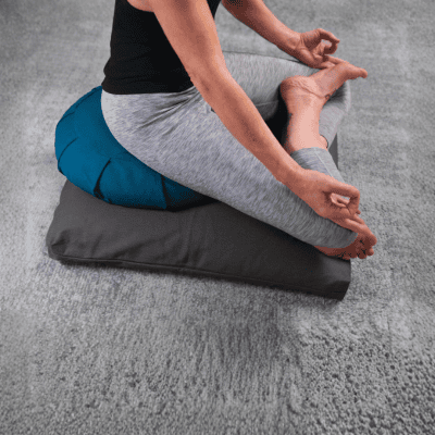 Waterglider Zabuton Cushion